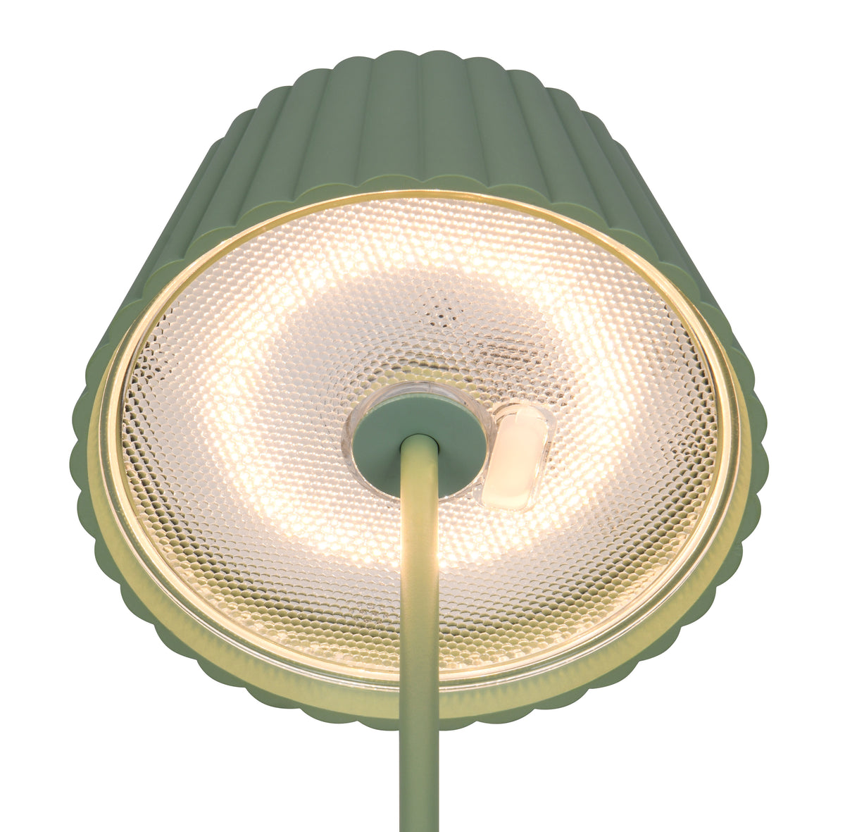 41700508 07 - Image