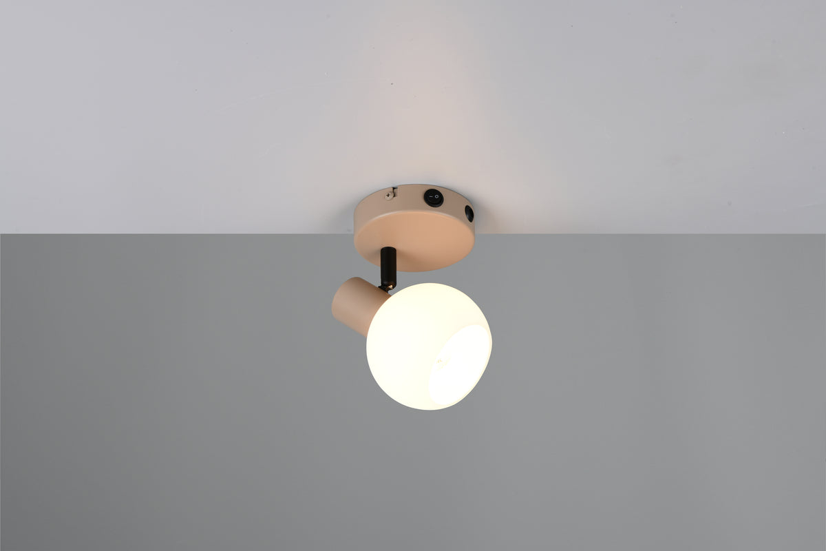 41700527 01 - Image