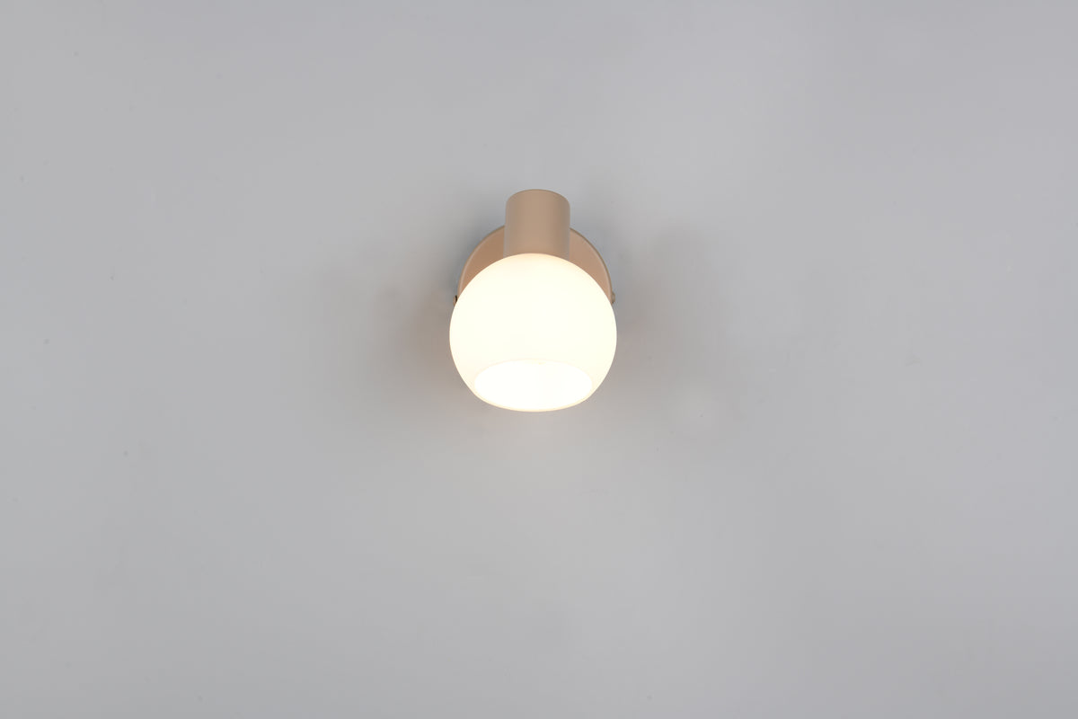 41700527 01 - Image