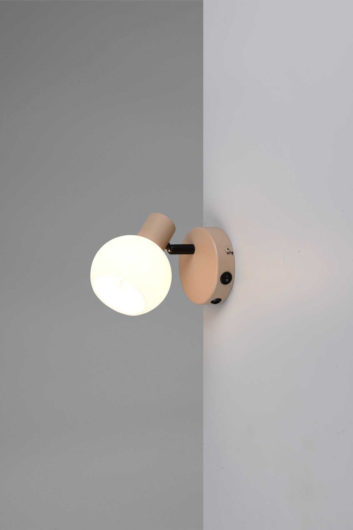 41700527 01 - Image