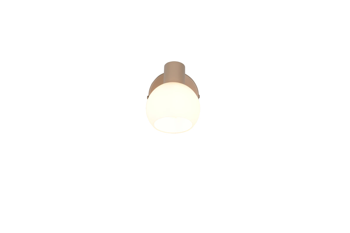41700527 01 - Image
