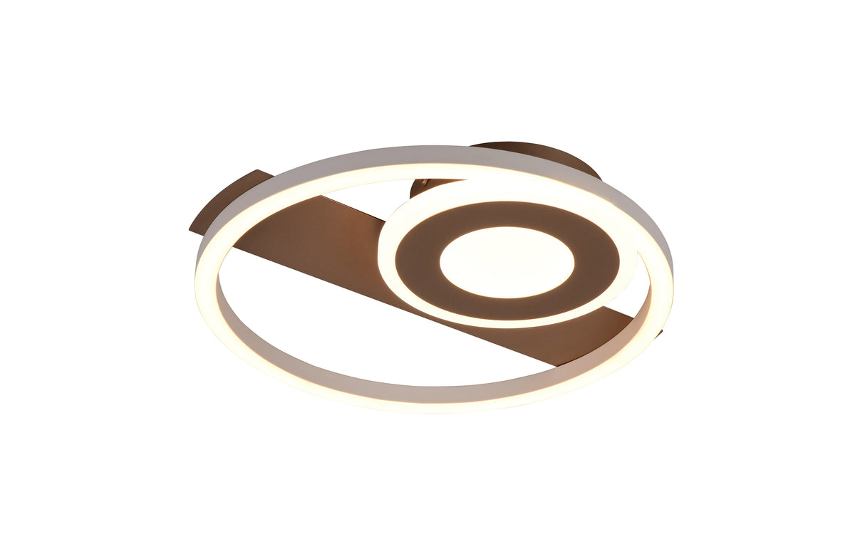 41700542 01 - Image