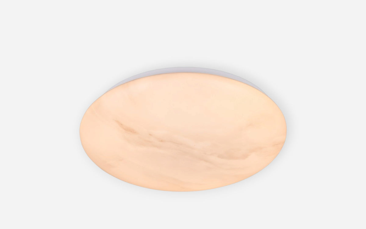 41700554 01 - Image