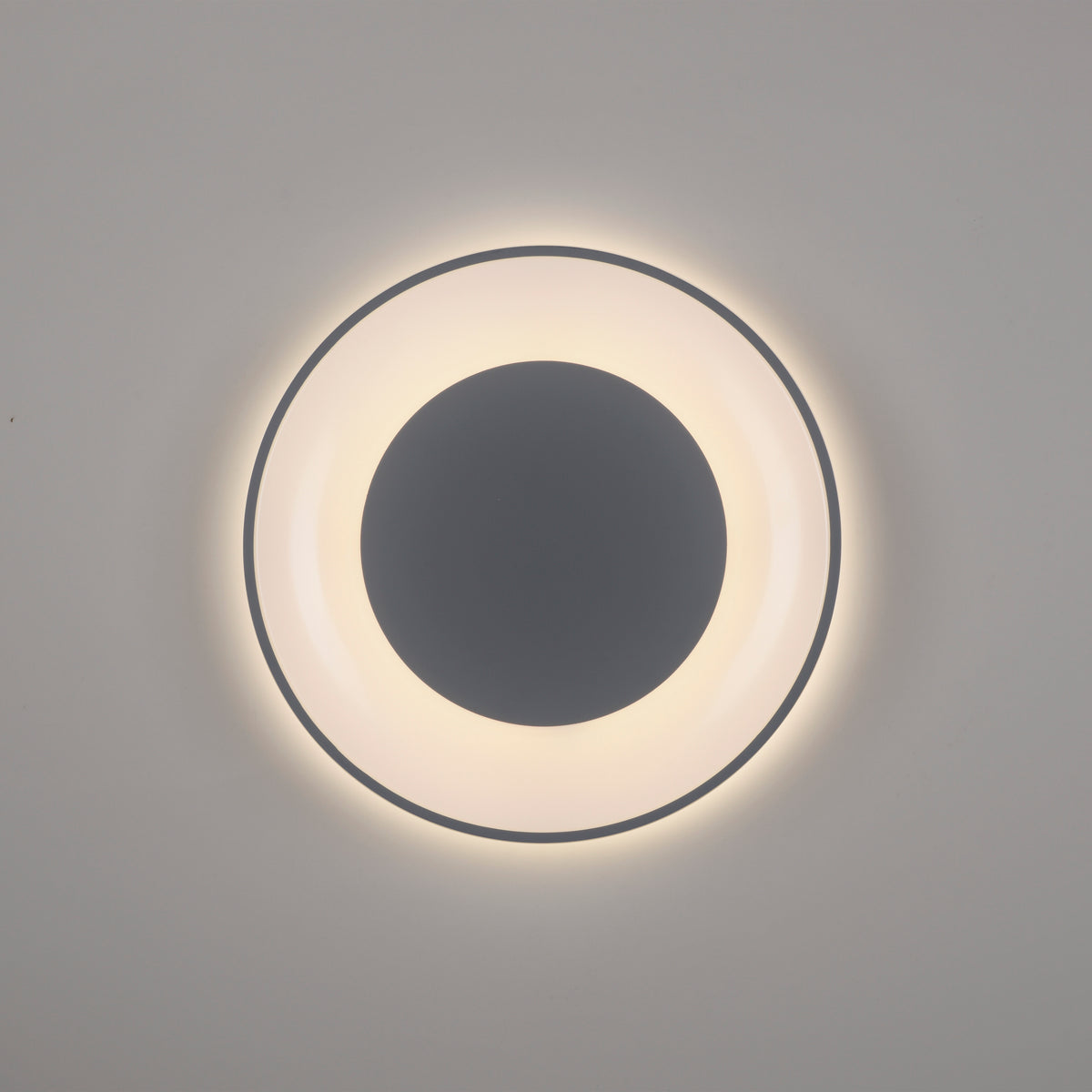 41750478 02 - Image
