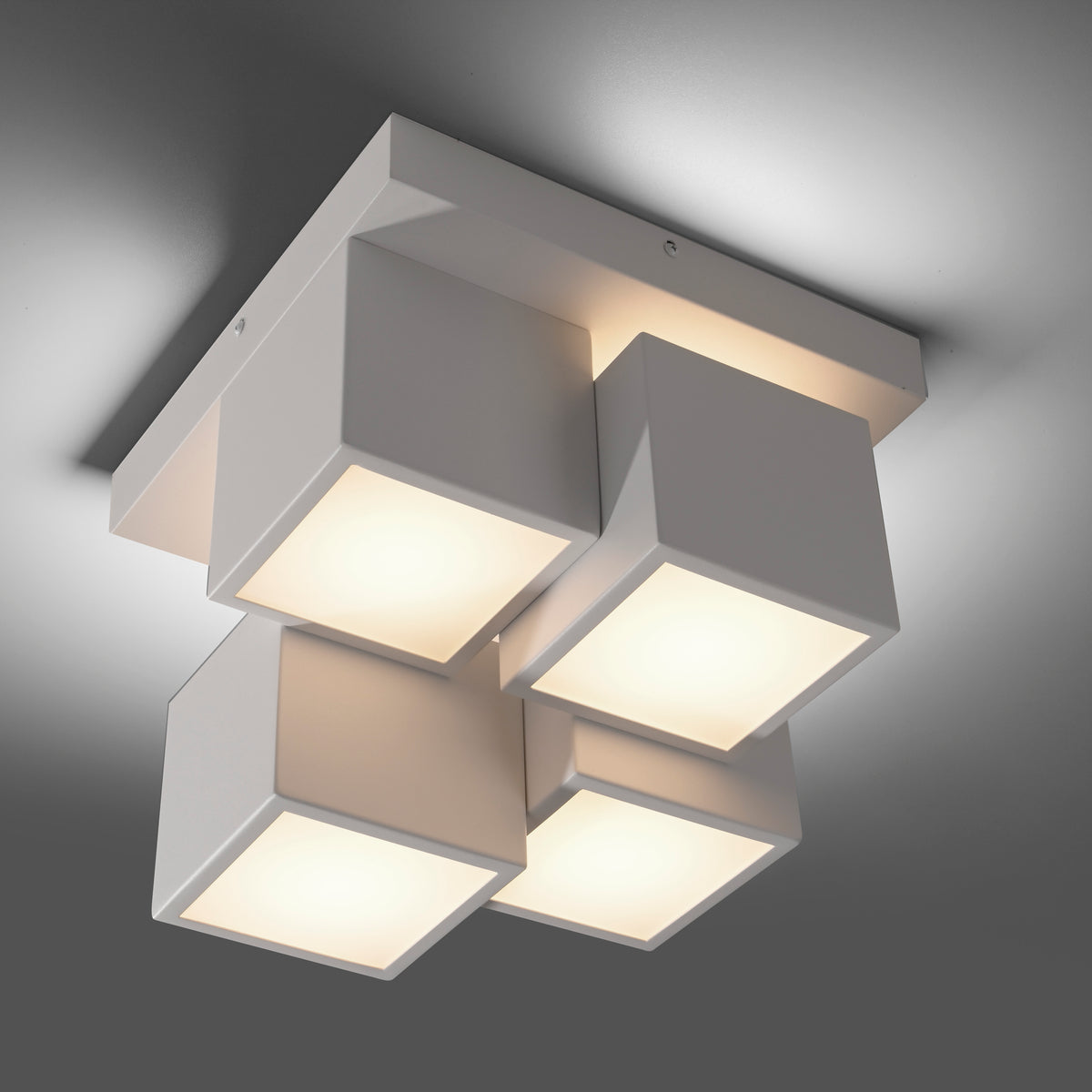 41750559 01 - Image