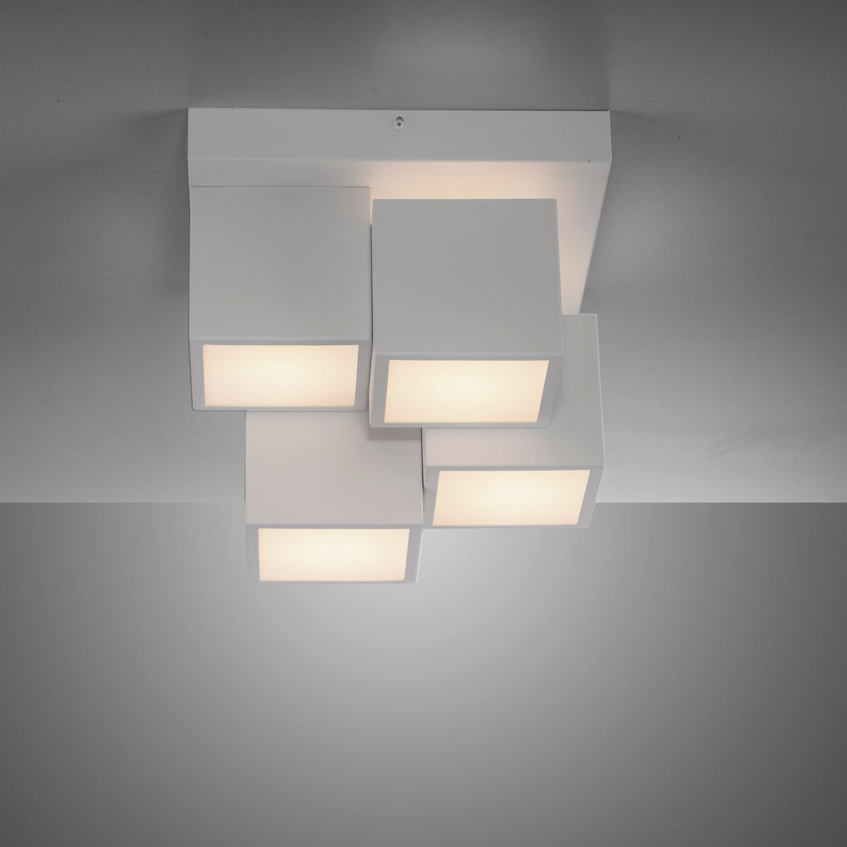 41750559 01 - Image