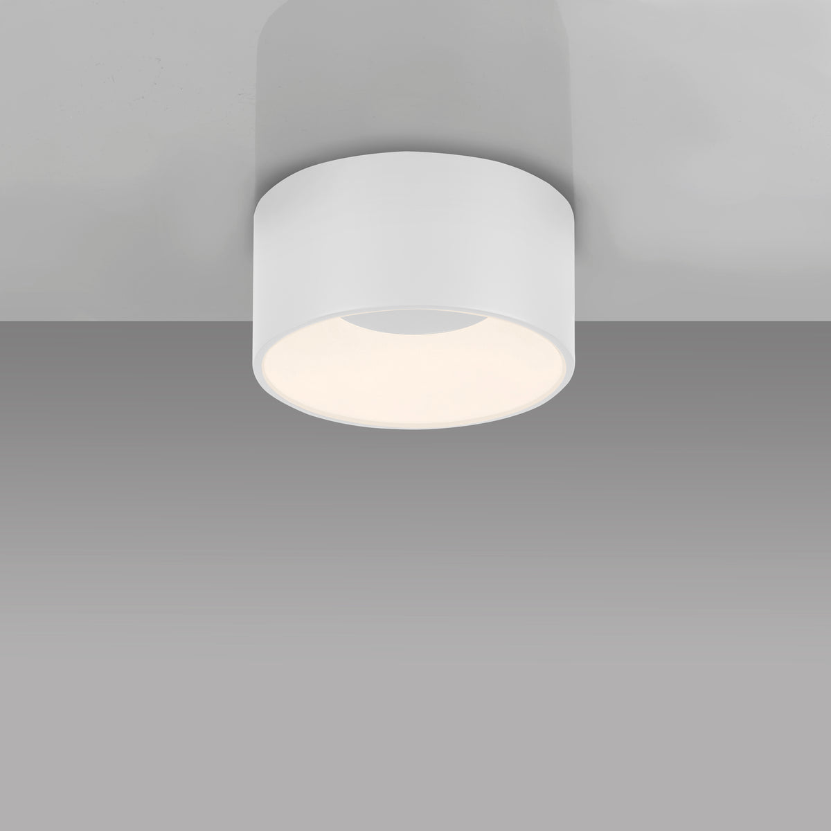 41750561 01 - Image