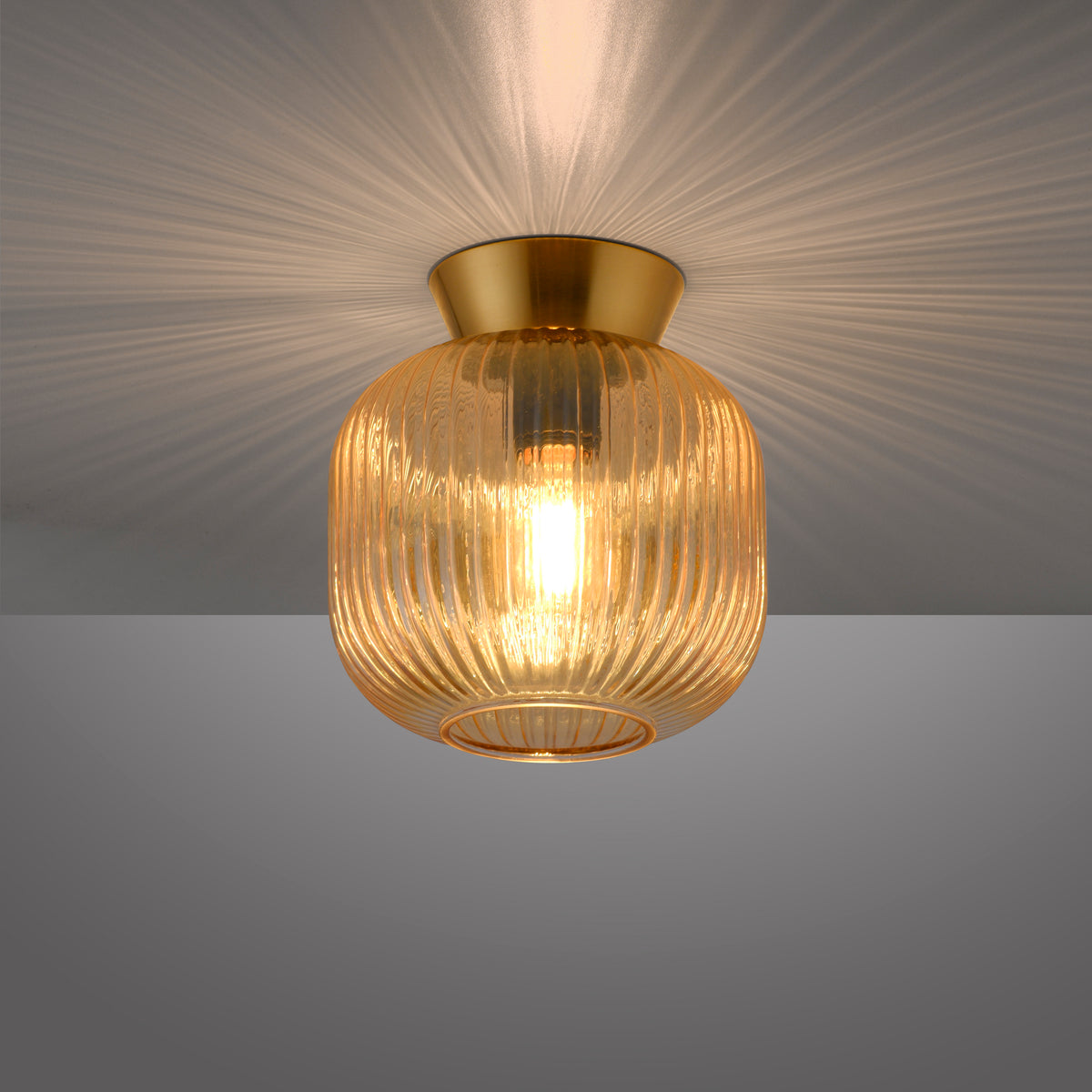 41750570 05 - Image