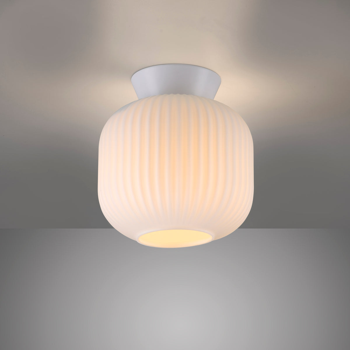 41750570 06 - Image