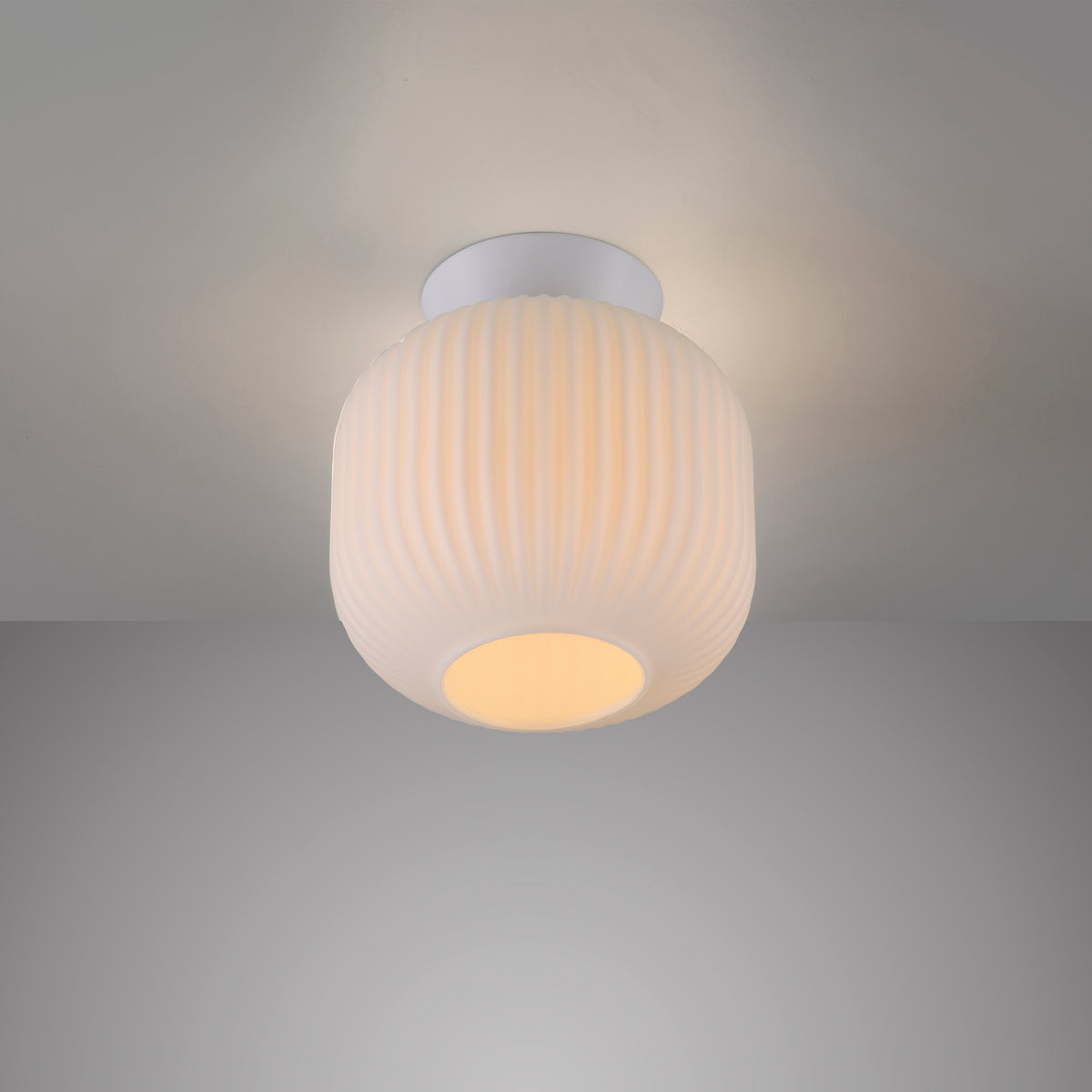 41750570 06 - Image