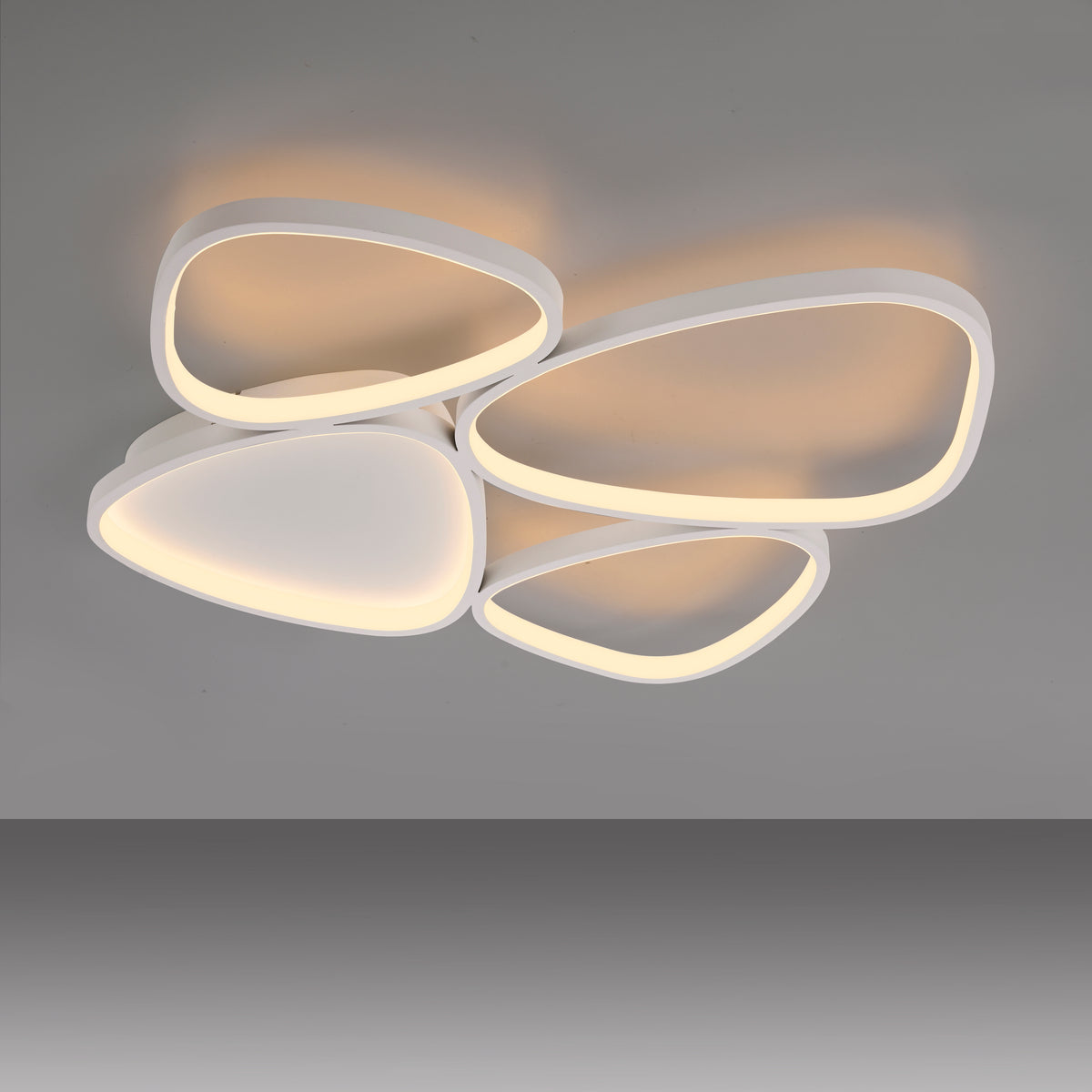 41750582 01 - Image