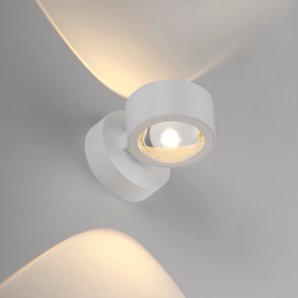 41750587 01 - Image