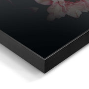50400013 04 - Image
