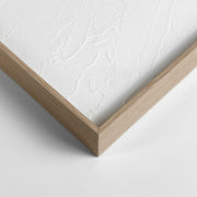 50400014 01 - Image