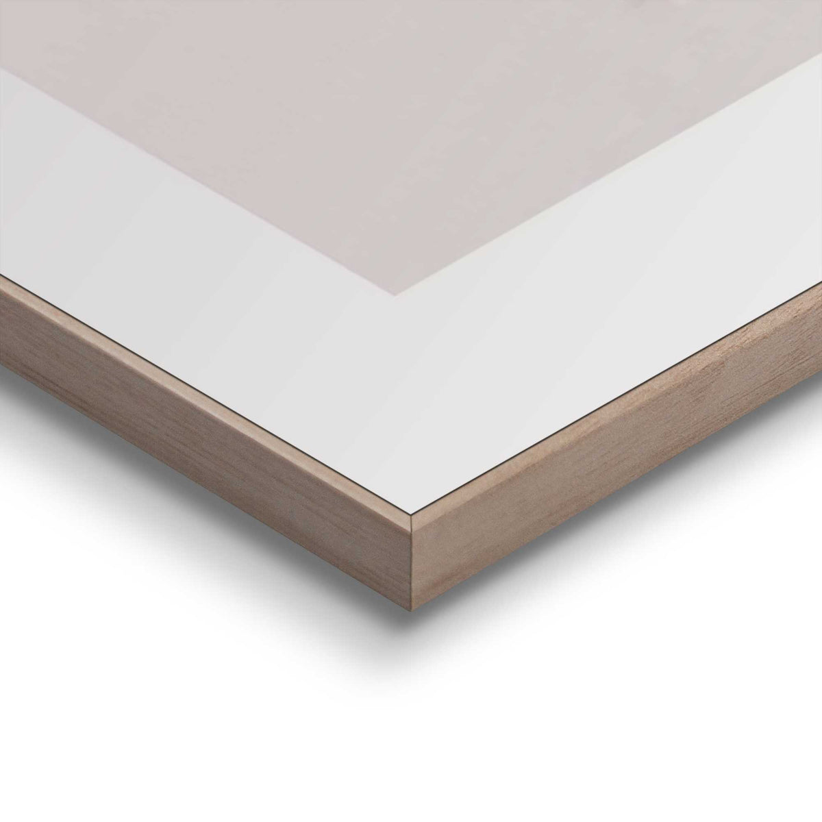 50400021 16 - Image