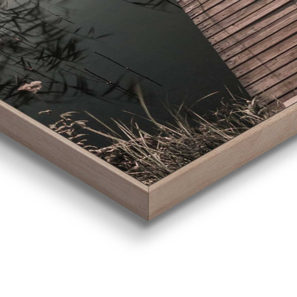50400021 19 - Image
