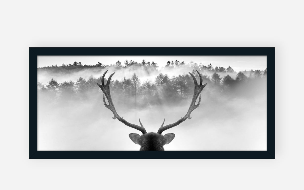 52380136 23 - Image