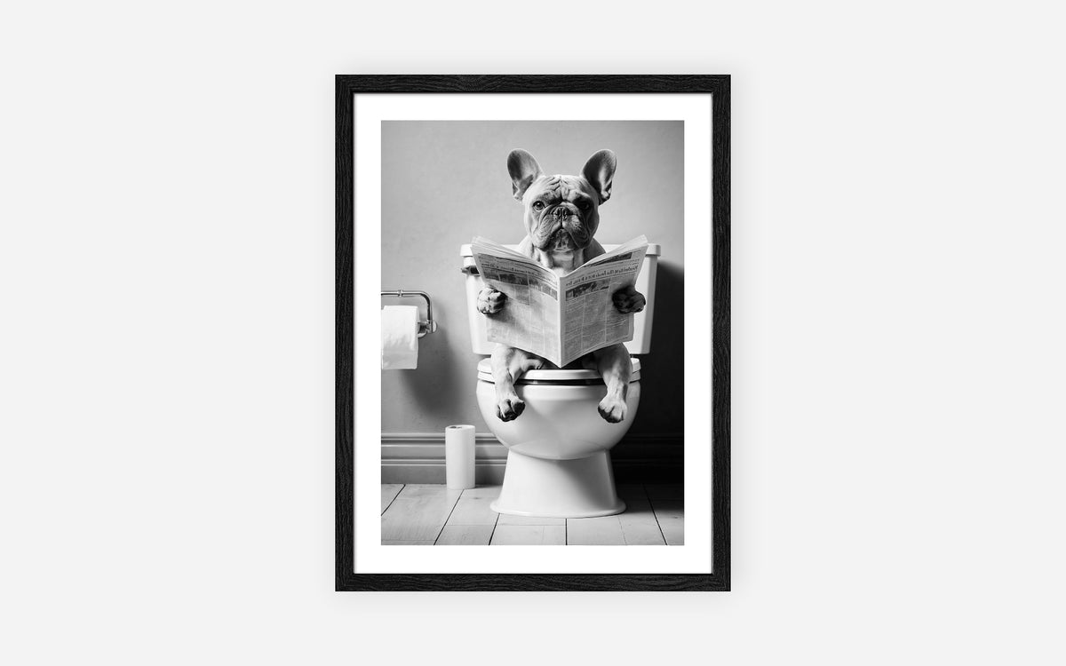 52380199 52 - Image