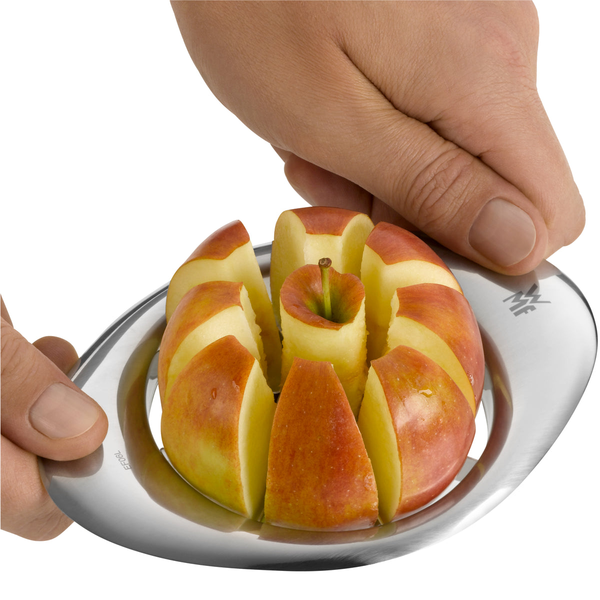 53470545 01 - Image