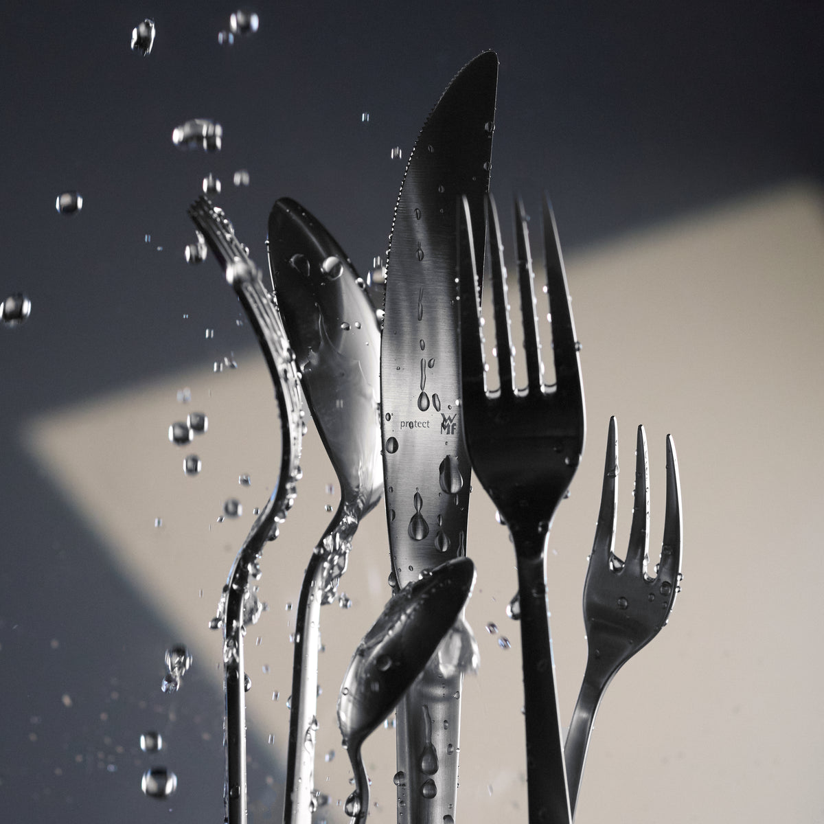 53470645 12 - Image