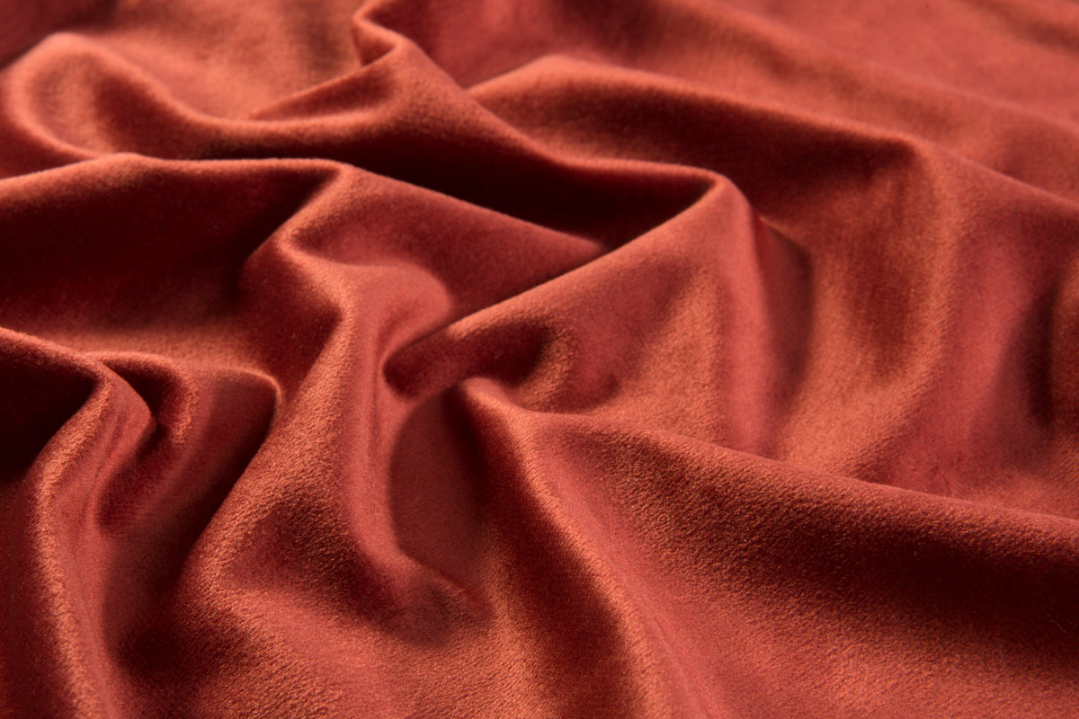 54150154 07 - Image