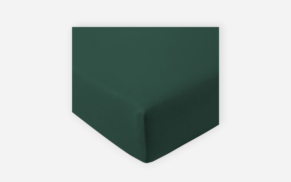 54160001 15 - Image