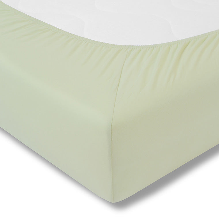 54160003 16 - Image