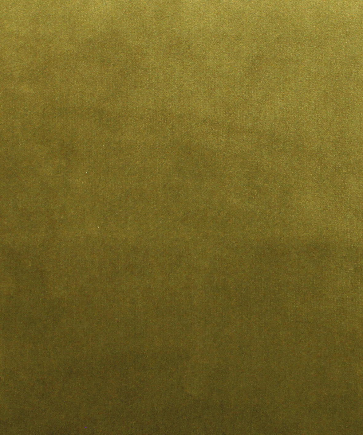 54510340 45 - Image