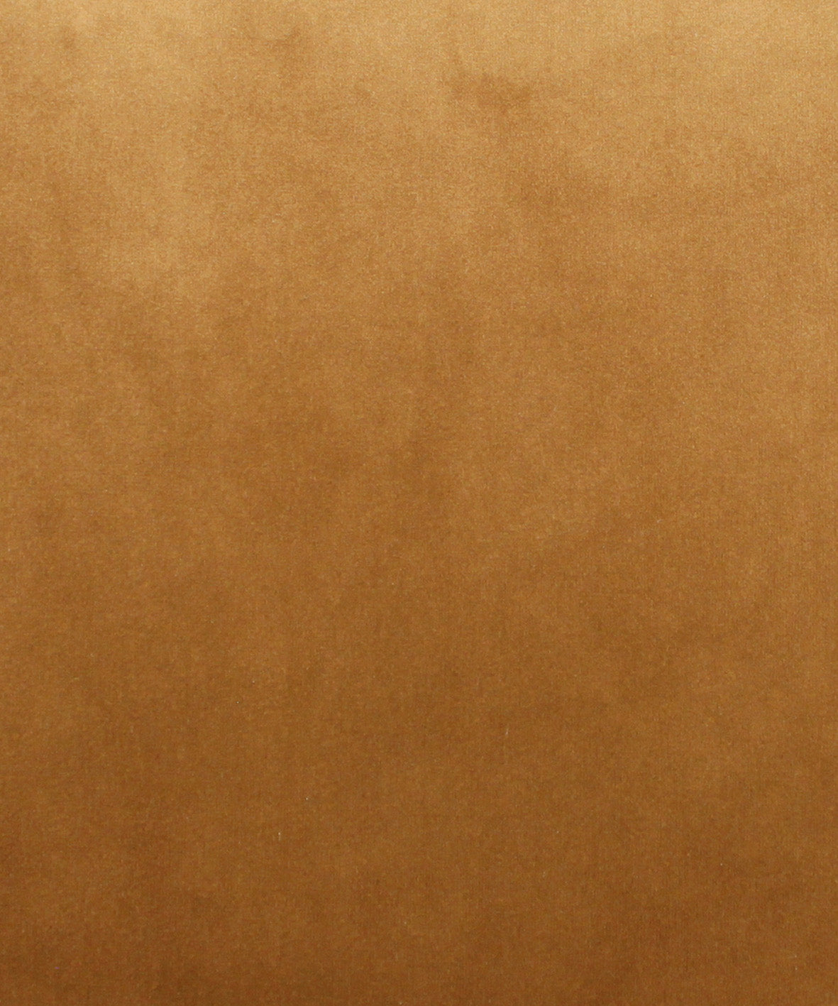 54510340 70 - Image