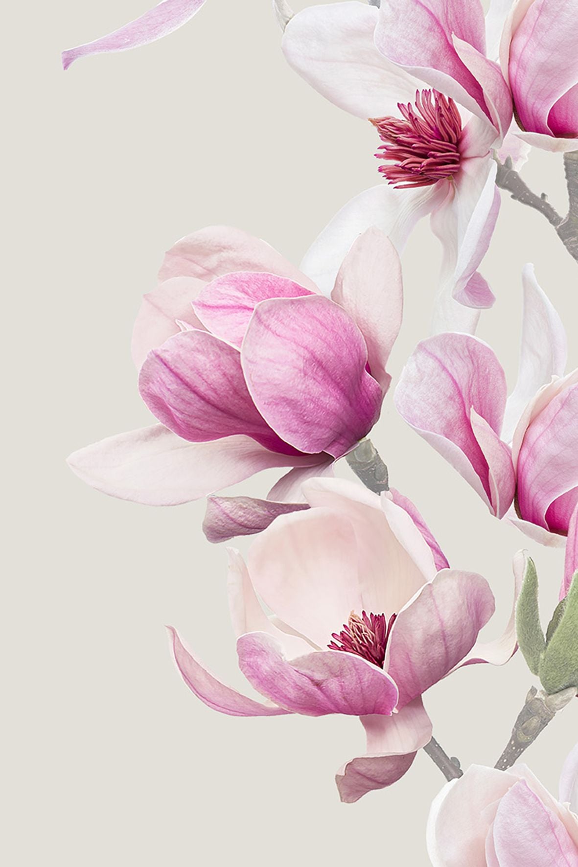 54510623 01 - Image