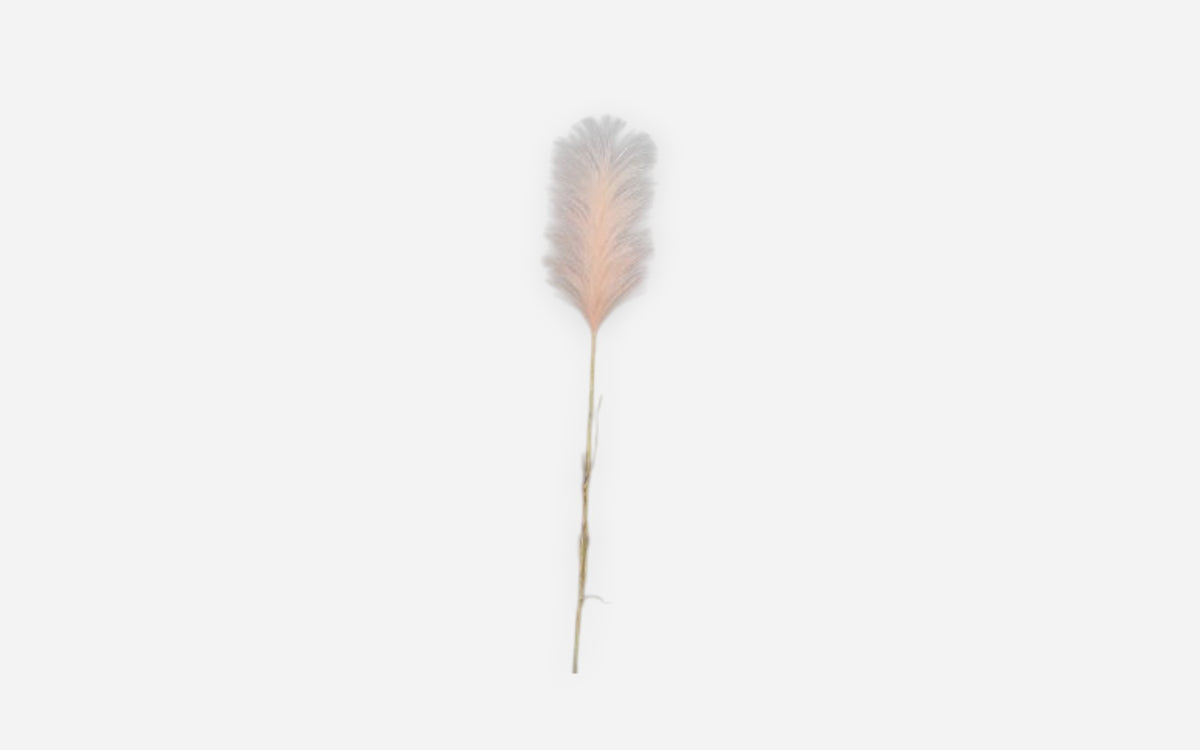 54680812 01 - Image