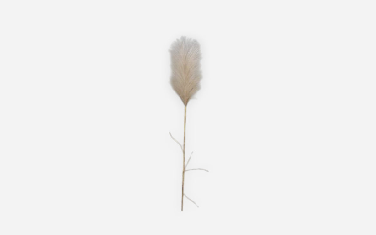 54680812 02 - Image