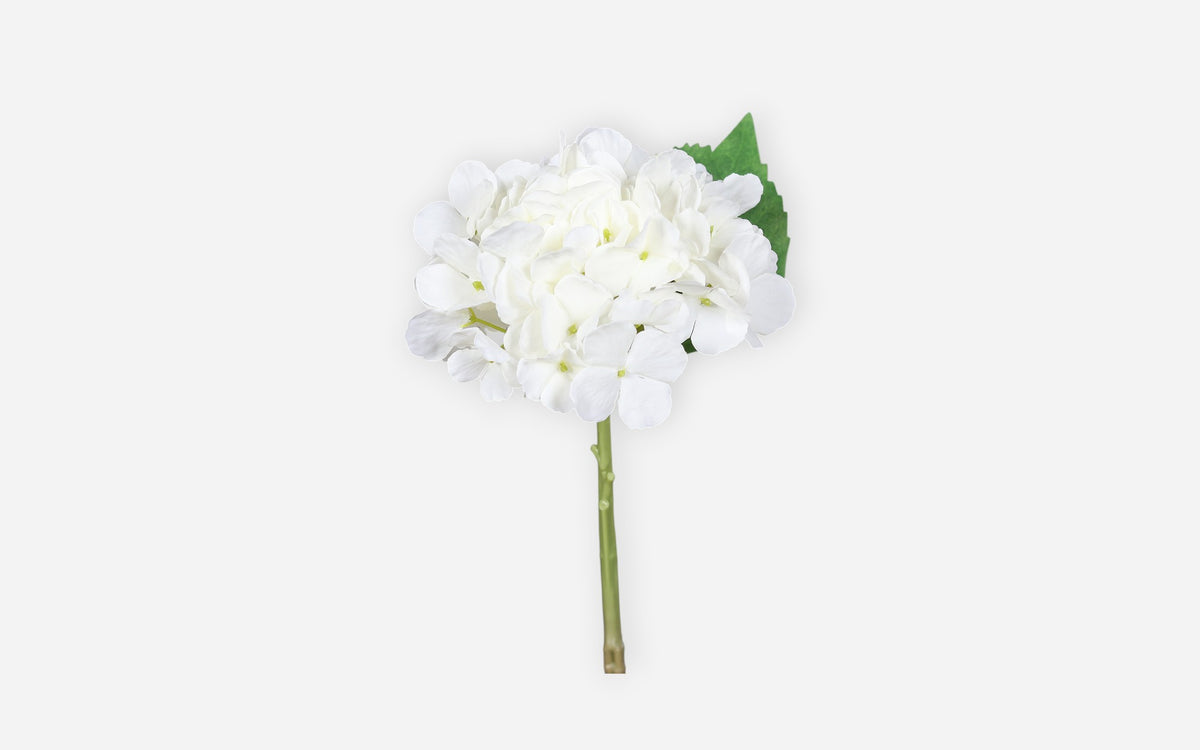 54680843 01 - Image