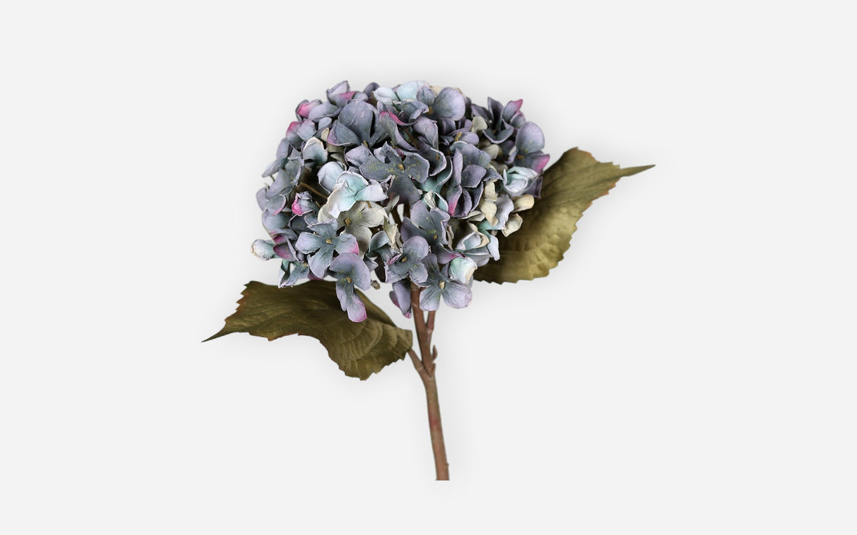 54680846 04 - Image