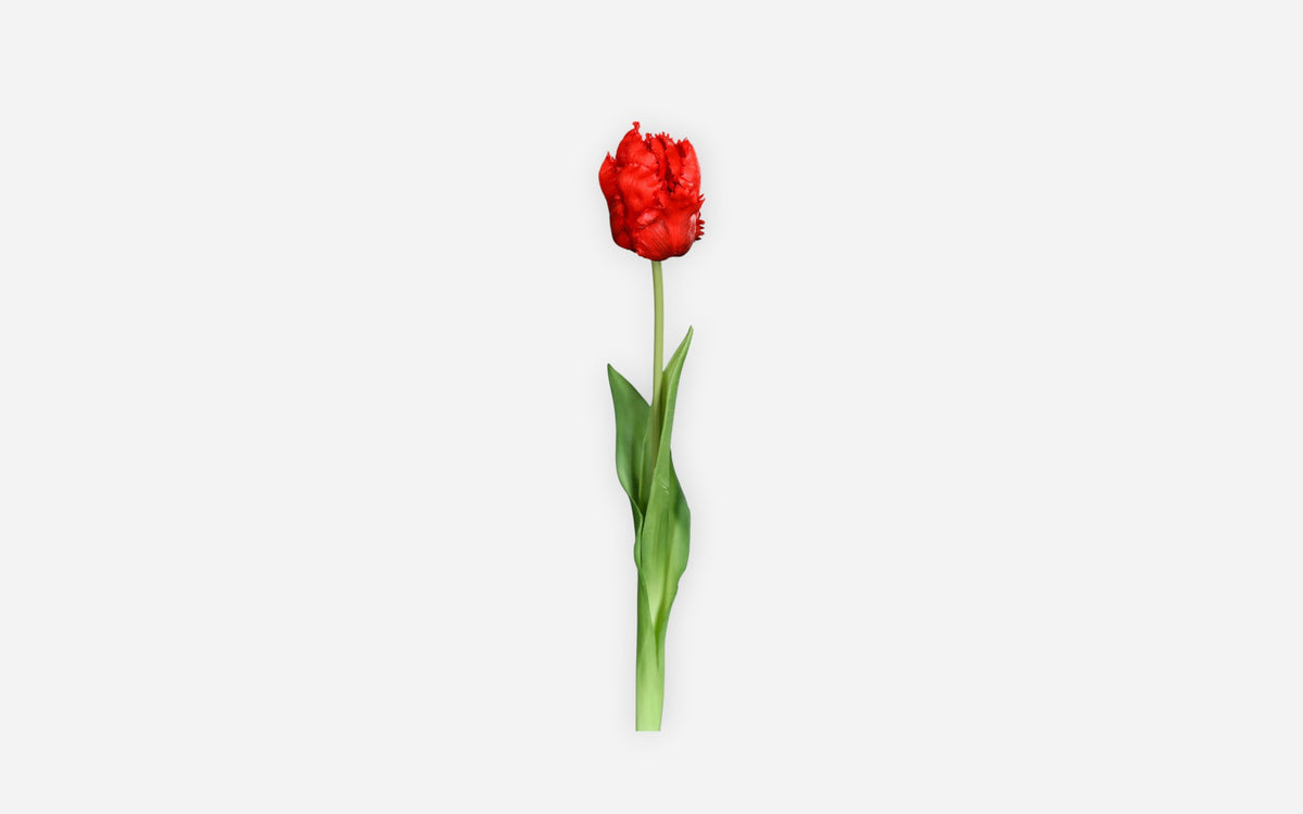 54680898 01 - Image