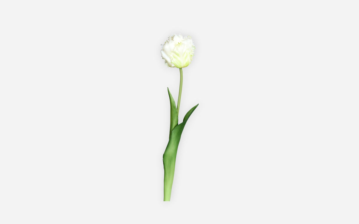 54680898 03 - Image