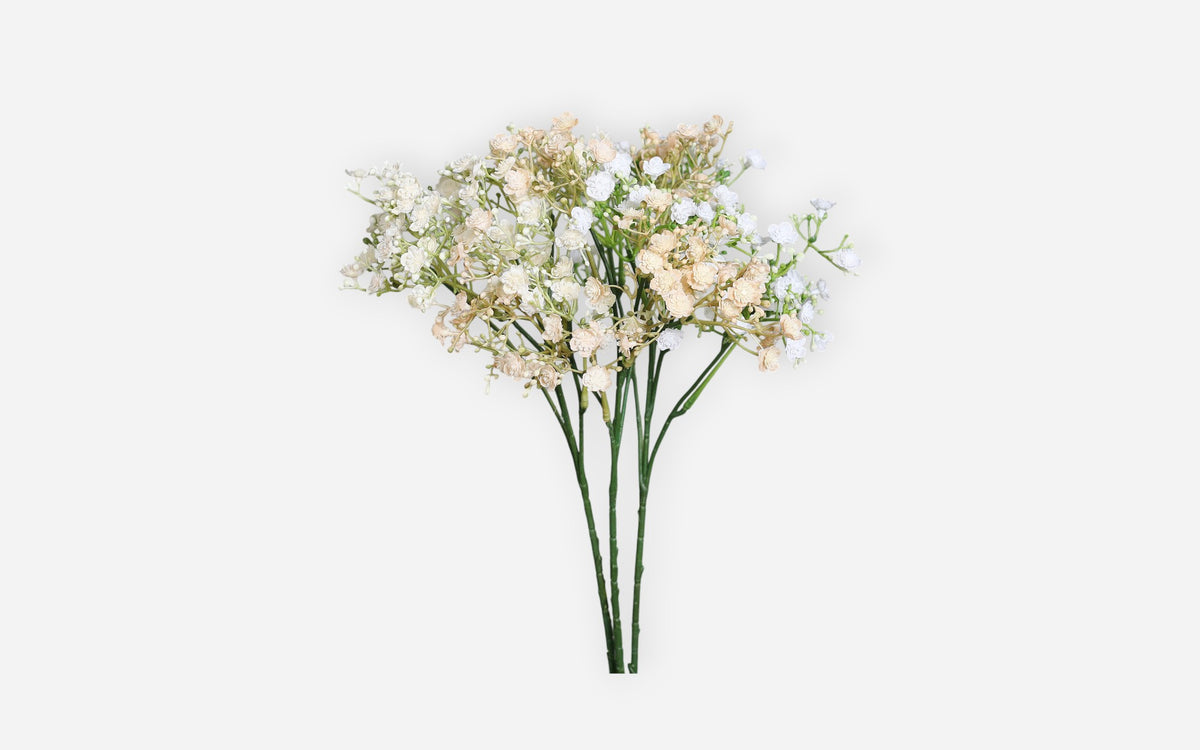54680987 01 - Image
