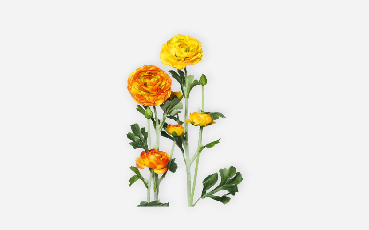 54680991 02 - Image