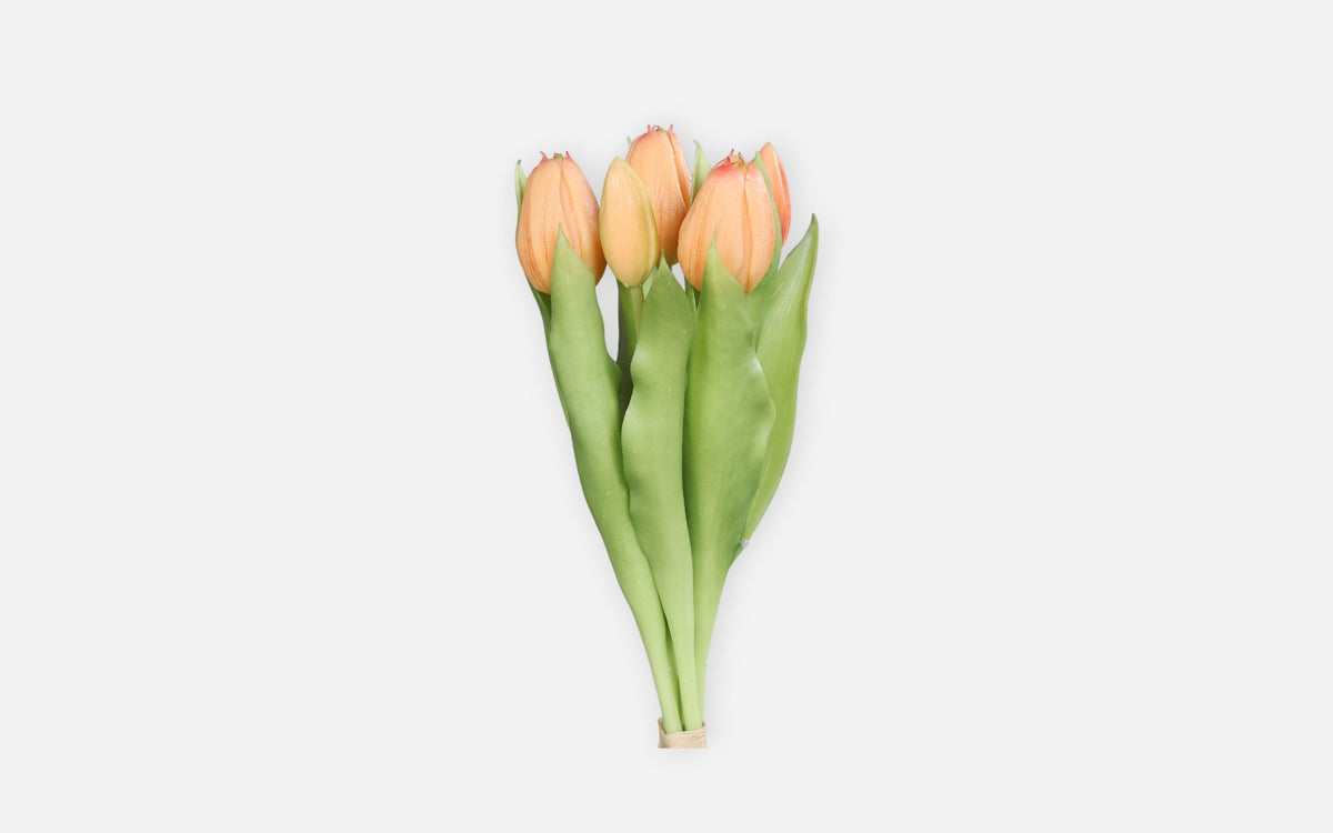 54680995 06 - Image