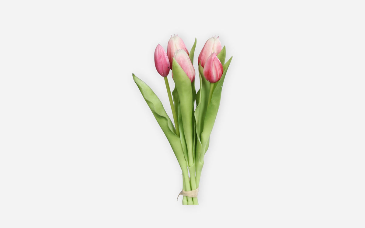 54680995 07 - Image