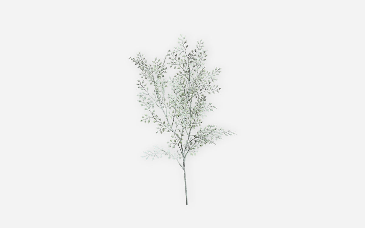 54681045 01 - Image