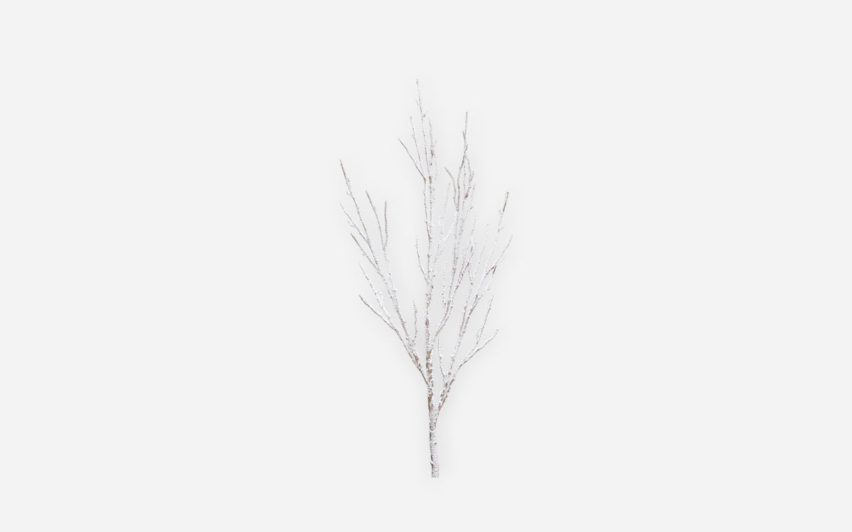 54681047 01 - Image