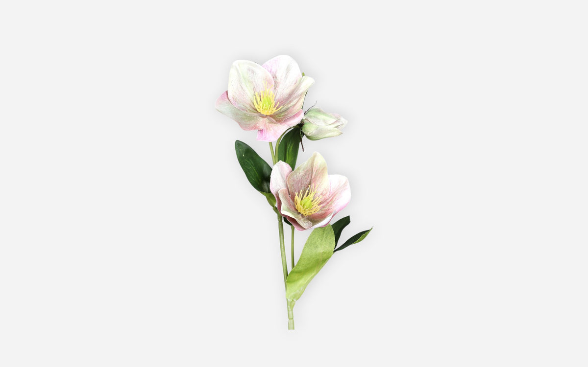 54681049 02 - Image