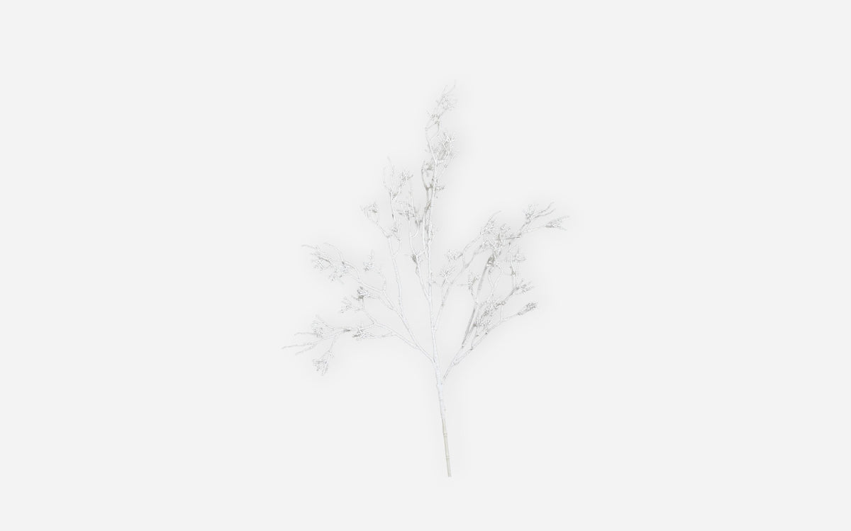 54681058 02 - Image