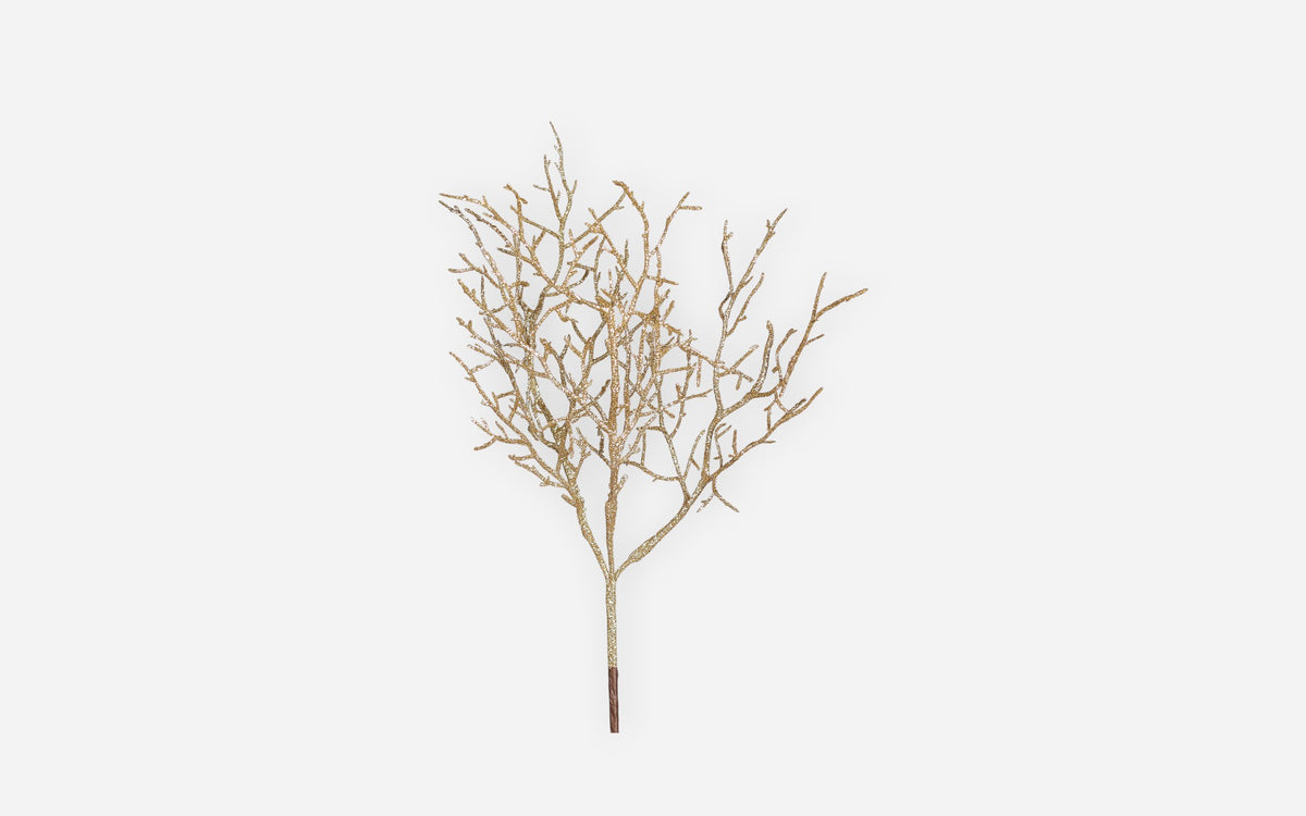 54681069 02 - Image
