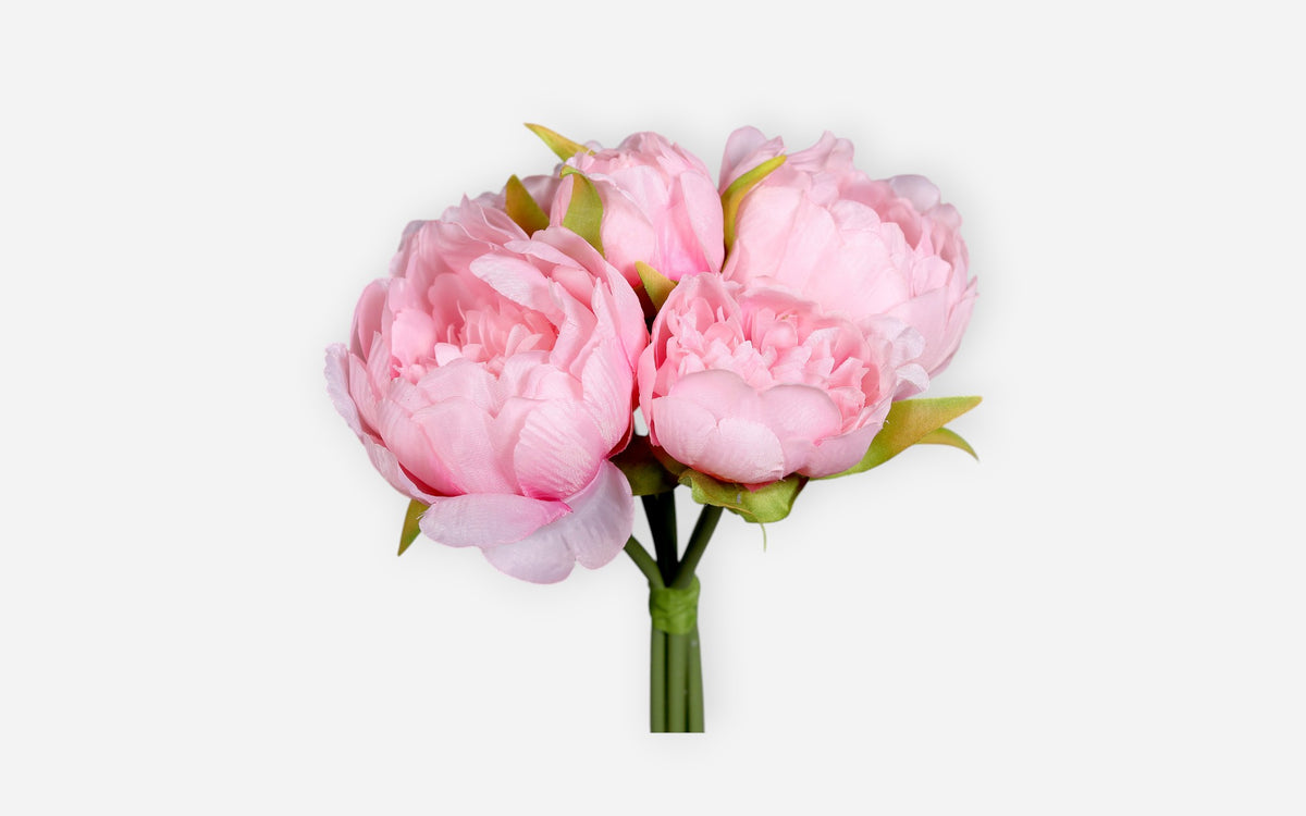 54681126 01 - Image