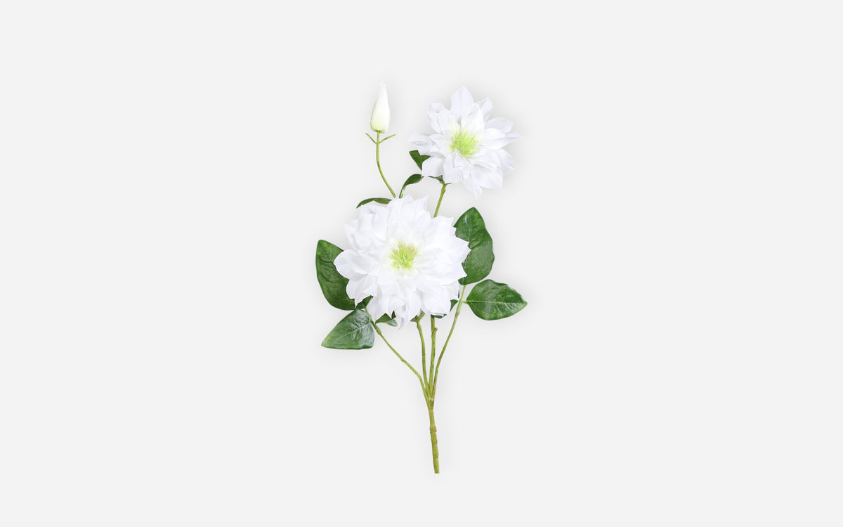 54681130 02 - Image