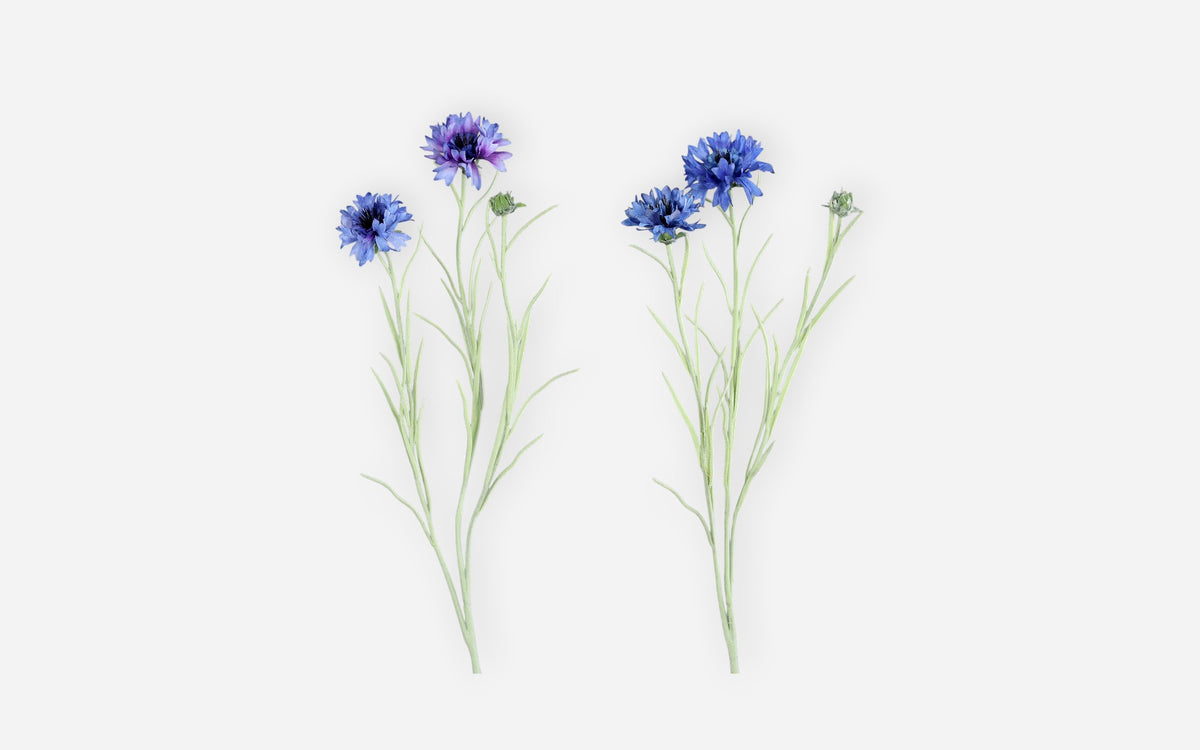54681135 02 - Image