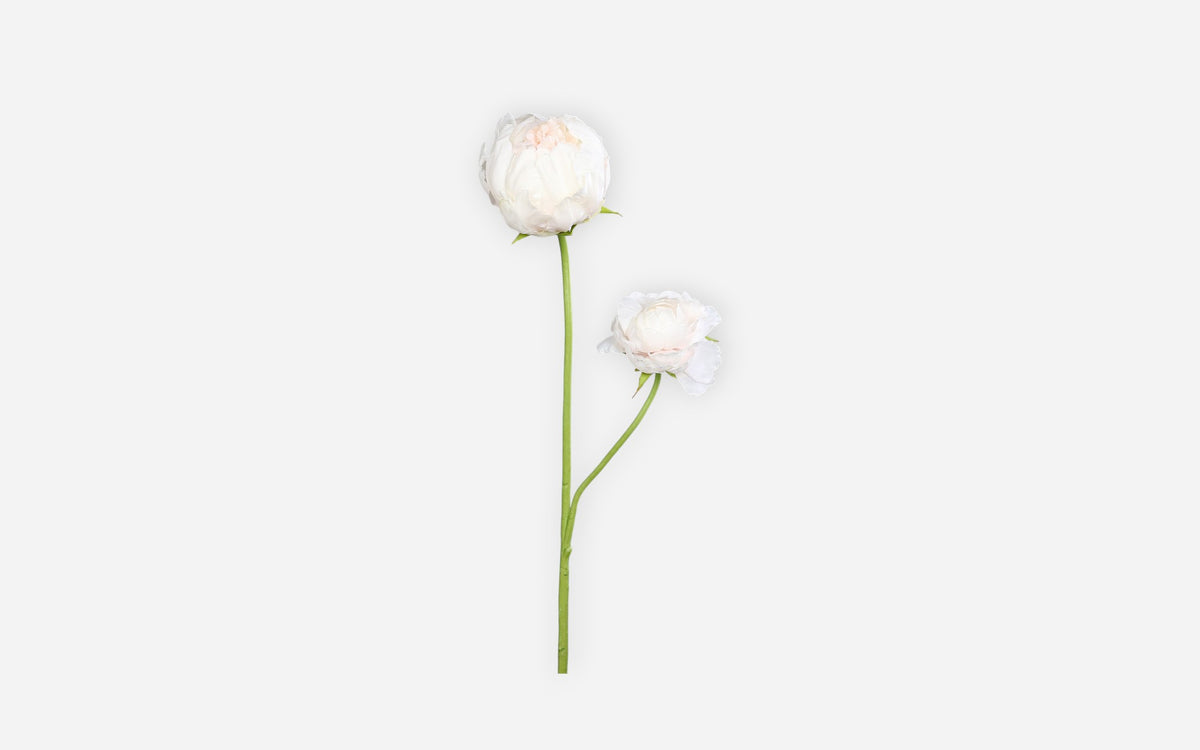 54681139 01 - Image