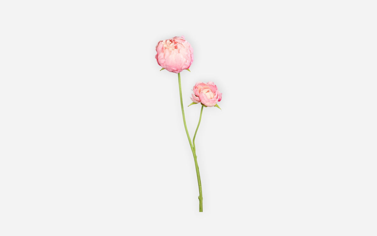 54681139 03 - Image